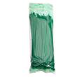 Set 100 coliere plastic 250x4.8mm, verzi, 300023V Damesa