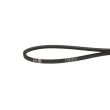 Curea trapeziodala 13x8x1917 combina