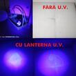 Lanterna lucru LED si UV, reincarcabila USB sau 220V, 5000mAh, 250/ 500/ 1000 lum + 220 lumeni, Vision 63302 Carmotion