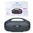 Boxa portabila PNI FunBox BT600, cu Bluetooth, 65W, MP3 player, cititor card, USB, microfon fara fir, acumulator 4400mAh, IPX4