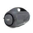 Boxa portabila PNI FunBox BT600, cu Bluetooth, 65W, MP3 player, cititor card, USB, microfon fara fir, acumulator 4400mAh, IPX4