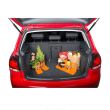 Organizator portbagaj pentru fixare bagaje, 34cm Orange, Stayhold SH001FR