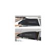 Set 2 jaluzele laterale tip perdea, extensibila, 95x54, WINDRtm Car+