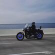 Ornament capacele valva cu LED albastru, auto, moto, velo, set 2 bucati, QMZ-03-blu