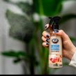 Odorizant cu pulverizator DEOCAR 250ml Honey Apple K2 M117HA