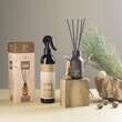 Odorizant camera cu betisoare, 80ml, Ellie Pure, Cedru, DM967 DrMarcus 