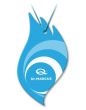 Odorizant auto bradut Sonic 54 bucati/panou Dr. Marcus
