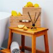 Odorizant ambiental parfum cu betisoare Summer Time Erla
