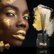 Odorizant camera cu betisoare, 100ml, Ritha Smokey Asher, R454 Erla