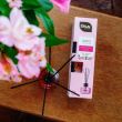 Odorizant ambiental parfum cu betisoare Paradise Love Erla