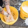 Galeata spalare auto, 19L, Empty Bucket, RG203 Meguiar's 