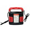 Redresor acumulator 8A, 12-24V, Fy-710 42799 CarCo