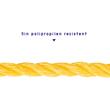 Chinga tractare funie 2.5T 4m 16mm 403.10 Alca