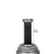 Cric hidraulic 2T 431.00 Alca