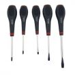 Set surubelnite Magnetizate, 5 bucati, 42216 CarCo