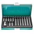 Trusa biti 15 bucati, torx 6 stea T20-T55 GUZ10413 15T 
