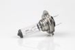 Bec H7 12V/55W, 01156 AMIO  