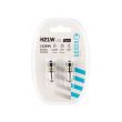 Set 2 becuri H21 30 LED-uri, 12-24V BAY9s CanBus Vision 58243 Carmotion