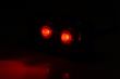 Lampa ceata, color, 117x56, cu LED LAMPDEMIA W225 1481 KR F Was
