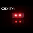 Lampa ceata si pozitie tip NEON, transparenta, 117x56, LED, Lampdemia, W225 1481 R F Was