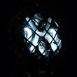 Proiector fi172, LED, 9-36V, 50W, 5500lm, cu faza lunga, faza scurta, pozitie alba DRL NEON, semnalizare, X Type, 03698 Amio 