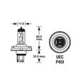 Bec H4 24V  50X55W   P45  BK80108