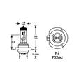 Bec H7 12V, 55W, Selum