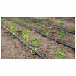 Banda picurare fi16mm, cu picurator plat scurt, grosimea peretelui 6mil-0.15mm, distanta intre picuratori 30cm, debit 2.1L pe ora, rola 3000m, AquaDrop, LW26 Plastic-Puglia 