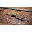 Banda picurare fi16mm, cu picurator plat scurt, grosimea peretelui 6mil-0.15mm, distanta intre picuratori 30cm, debit 2.1L pe ora, rola 3000m, AquaDrop, LW26 Plastic-Puglia 