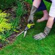 Foarfeca pentru tuns garduri vii, 350mm, cu cap rotativ 360°, 11283 Garden 
