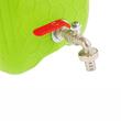 Canistra apa 10L, cu robinet metalic, 63802 Carmotion