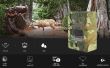 Camera vanatoare PNI Hunting 2C 8MP 720P cu night vision