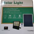 Proiector 60W cu panou solar H.Lucas