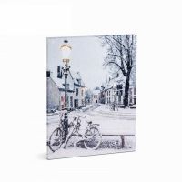 Tablou cu 21 LED-uri, peisaj iarna 30x40cm, Family Pound 58017B
