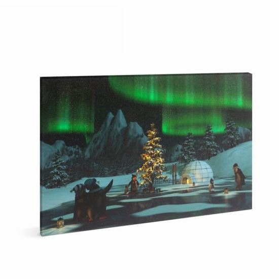 Tablou Aurora Boreala, 19 LED-uri, 30x40cm, Family Pound 58017I