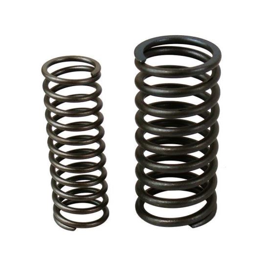 Arcuri supape, interior si exterior, set U650, 103.02.119/.120