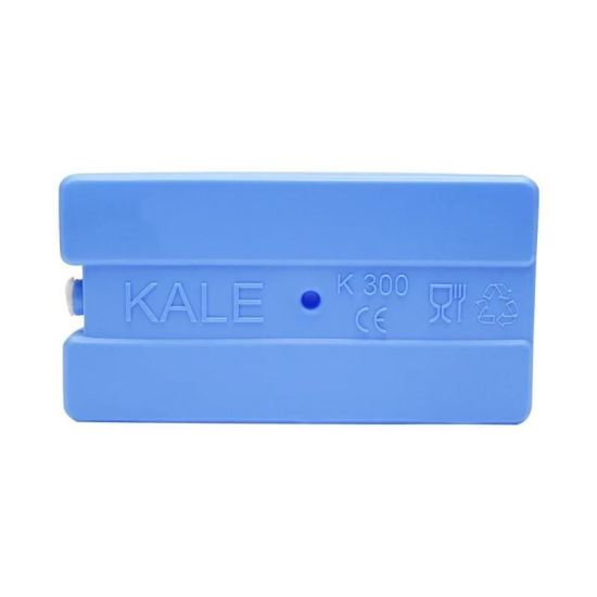 Element racire pentru lada frigorifica 350gr K300, BK90334