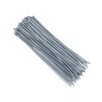 Set 100 coliere plastic 300x3.6mm, gri, 86105 Carmotion