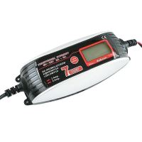 Redresor acumlator electronic 2/4A->12-120aH, 6/12V, 42659 CarCo