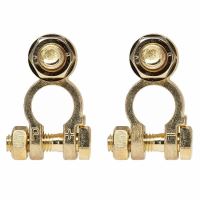Set borne acumulator cupru, fixare cu surub M10 509.40 Alca