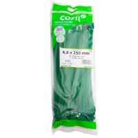 Set 100 coliere plastic 250x4.8mm, verzi, 300023V Damesa