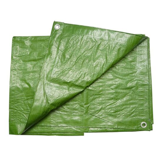 Prelata cu ochiuri de prindere 100g/m2, verde, 2x3m Bk89400