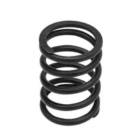 Arc supapa motor Fiat, U445, 115.02.175, cs21