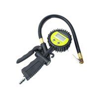 Pistol aer roti cu manometru digital, 0-7bar, furtun 40cm, baterie AAA, EURO, 63829 Carmotion 