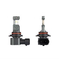 Set 2 becuri HB4, Led CSP, 12V, 60W, 5600lm, 6000K, Canbus, Hybrid Amio 04118