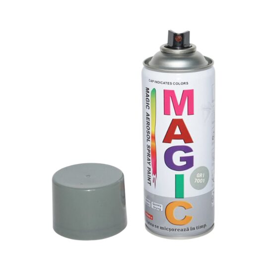 Spray vopsea, 450 ml, Magic Gri 7001
