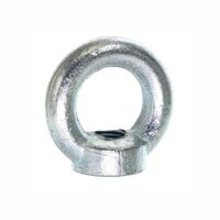 Inel de ridicare cu piulita DIN582 M10, 09522832 UNIQ