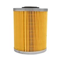 Element filtru motorina Dacia Papuc 1.9D model nou, 7701478972, BK10205