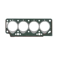 Garnitura chiuloasa Dacia Papuc 1.9D R1 BS5040 Payen