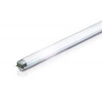 Tub FL 36W/865 (6500K)Super 80 Master Philips